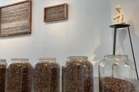 THORNS N´ROSES: E. PERCOSSI BOLD Galerie