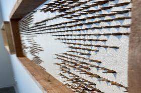 THORNS N´ROSES: E. PERCOSSI BOLD Galerie