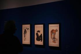 Galerie umění Albertina, Vídeň